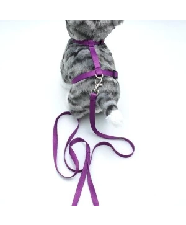 Kedi Düz Göğüs Tasması Ve Gezdirme Seti Ps9639