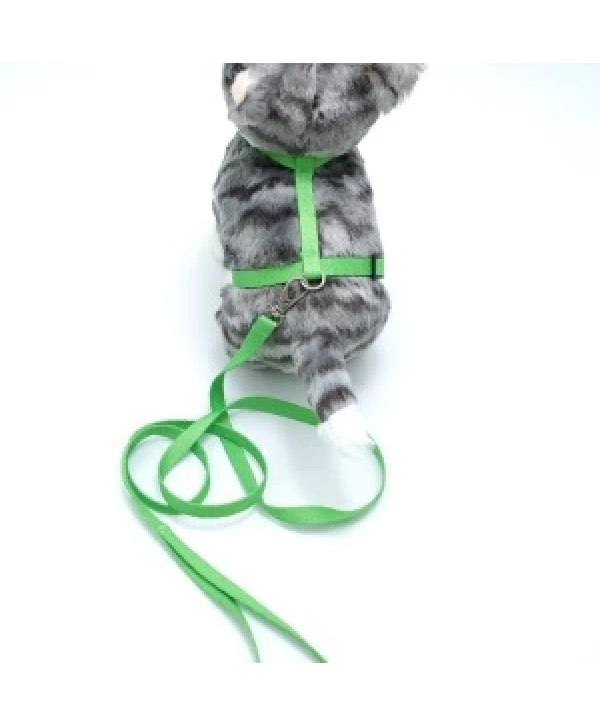 Kedi Düz Göğüs Tasması Ve Gezdirme Seti Ps9643