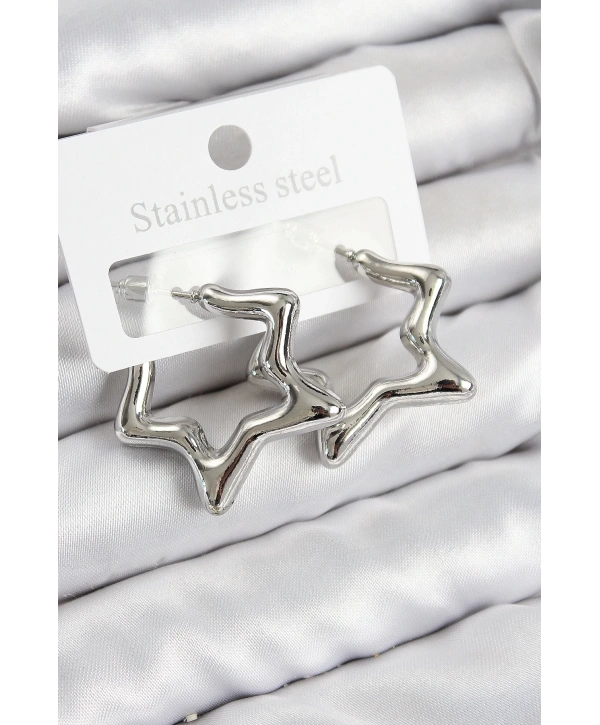 Pirinç Yıldız Model Gümüş Renk Kadın Küpe