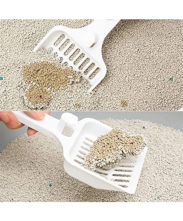 Proline Bebek Pudralı Topaklanan Bentonit Kedi Kumu İnce 20 Lt