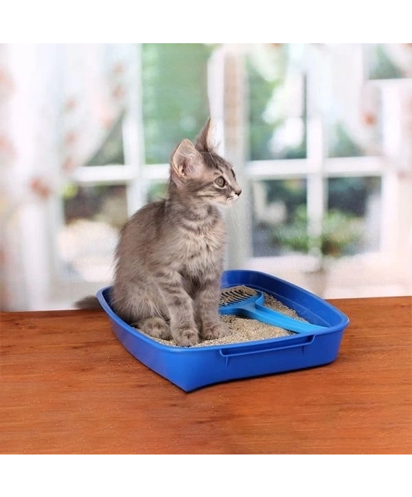 Proline Marsilya Sabun Kokulu Topaklanan Bentonit Kedi Kumu 20 Lt