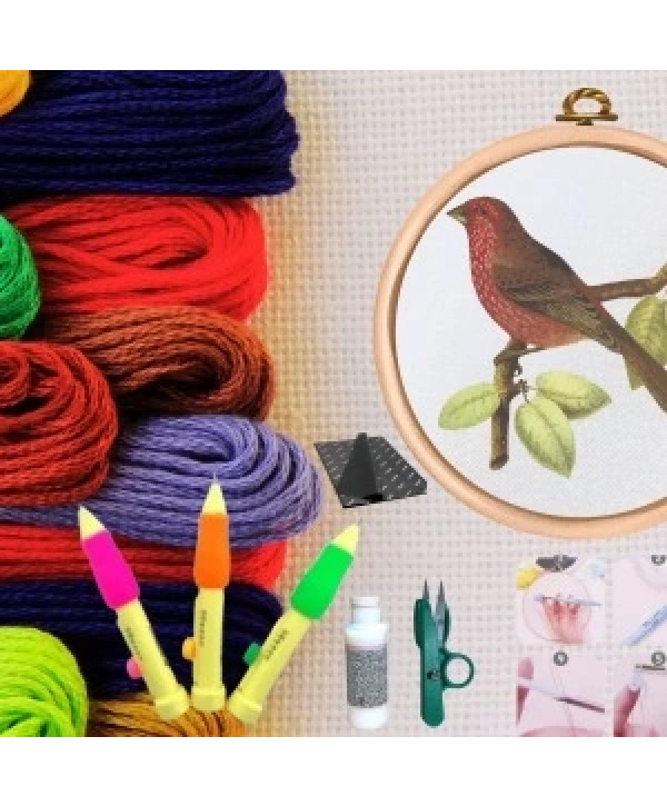 Punch Seti Nakış Seti Kasnaklı Kendin Yap Seti Seri 24