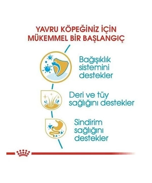 Royal Canin Cocker Junior Yavru Köpek Maması 3 Kg