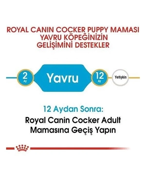 Royal Canin Cocker Junior Yavru Köpek Maması 3 Kg