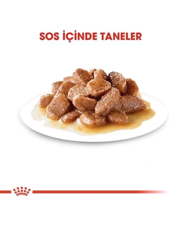 Royal Canin Digestive Sensitive Gravy Pouch Kedi Maması 85 Gr