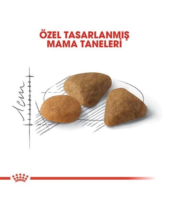Royal Canin Exigent Savour Seçici Yetişkin Kedi Maması 2 Kg