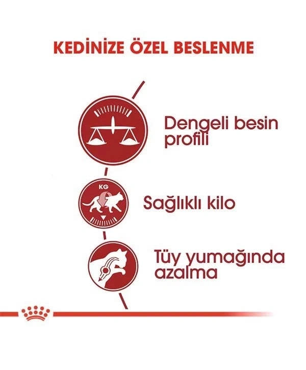 Royal Canin Fit 32 Yetişkin Kedi Maması 4 Kg