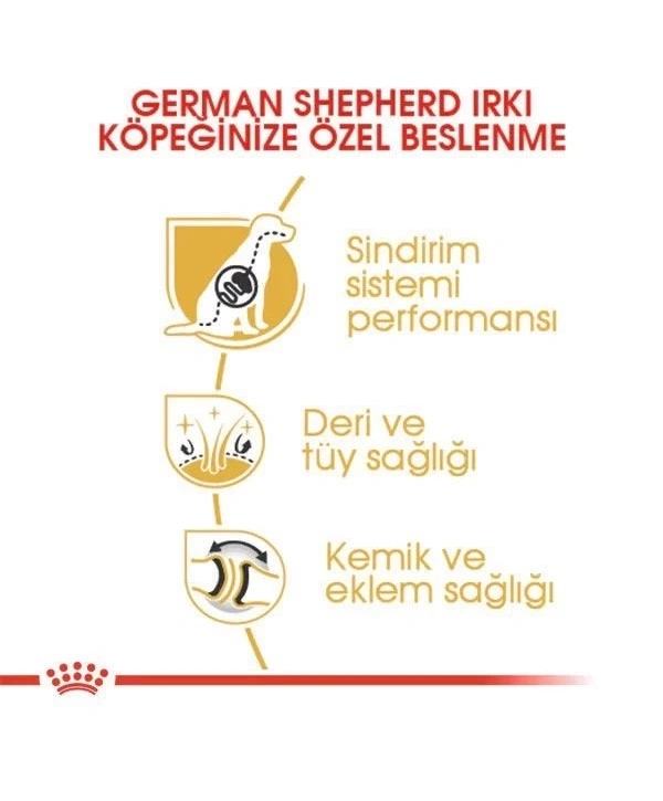 Royal Canin German Shepherd Adult Yetişkin Köpek Maması 11 Kg