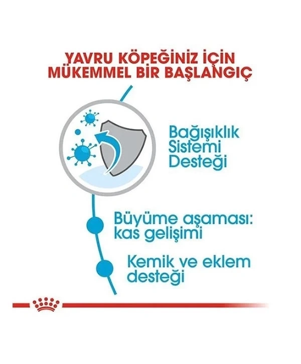 Royal Canin Giant Junior Dev Irk Yavru Köpek Maması 15 Kg