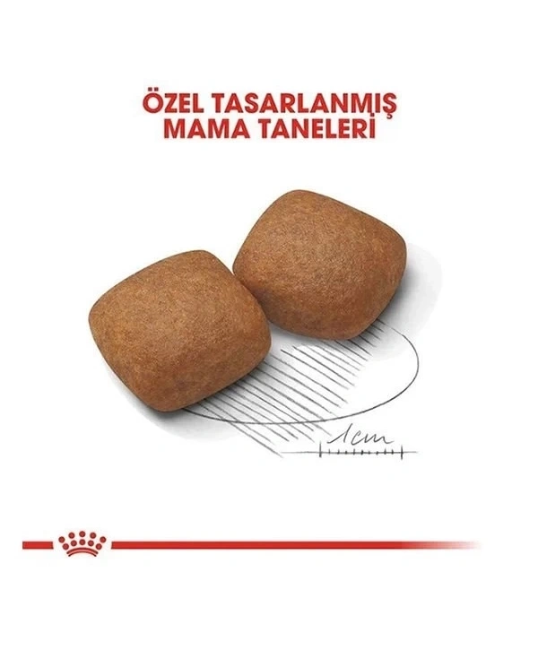 Royal Canin Giant Junior Dev Irk Yavru Köpek Maması 15 Kg