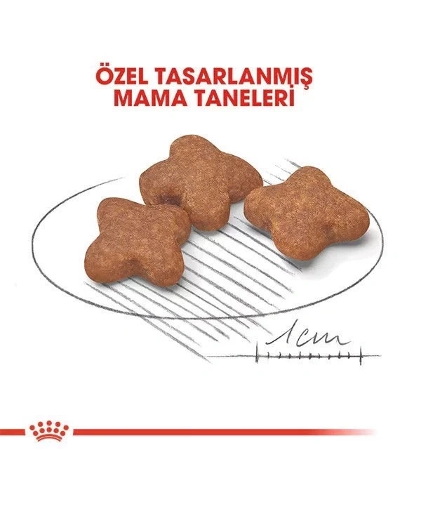 Royal Canin Mini Adult 8+ Küçük Irk Yaşlı Köpek Maması 2 Kg