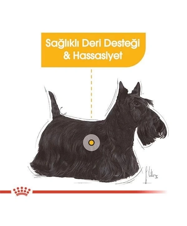 Royal Canin Mini Dermacomfort Yetişkin Köpek Maması 3 Kg