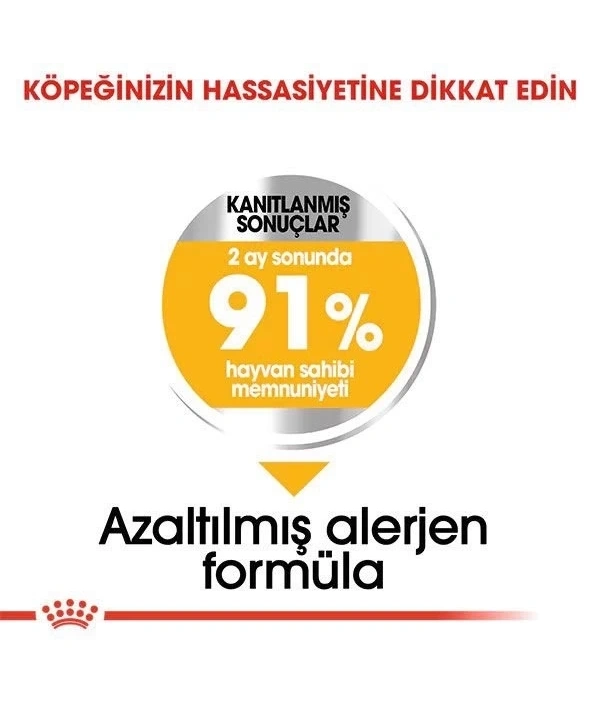 Royal Canin Mini Dermacomfort Yetişkin Köpek Maması 3 Kg