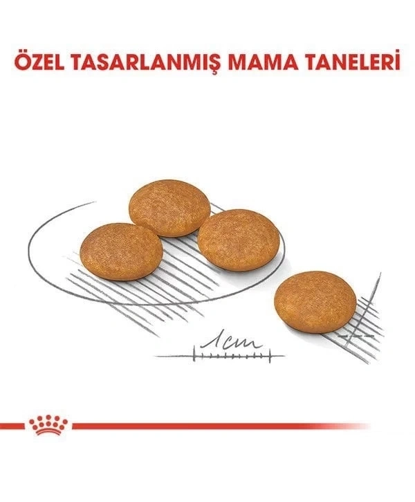 Royal Canin Mini Dermacomfort Yetişkin Köpek Maması 3 Kg