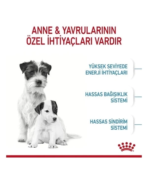 Royal Canin Mini Starter Anne ve Yavru Köpek Maması 4 Kg