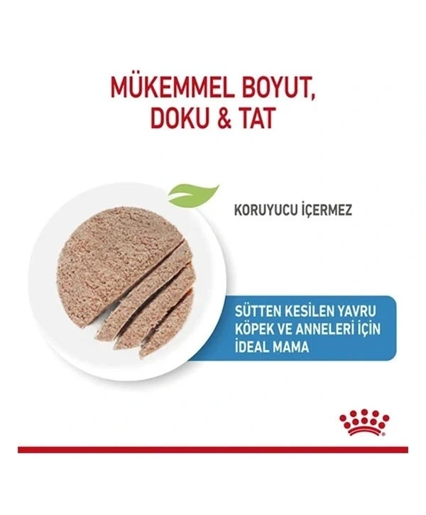 Royal Canin Starter Mousse Yavru Konserve Köpek Maması 195 Gr