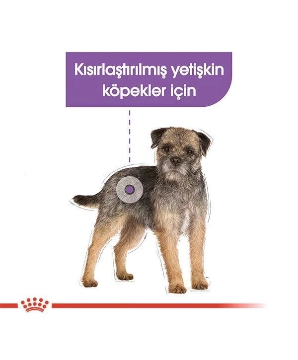 Royal Canin Sterilised Pouch Konserve Köpek Maması 85 Gr