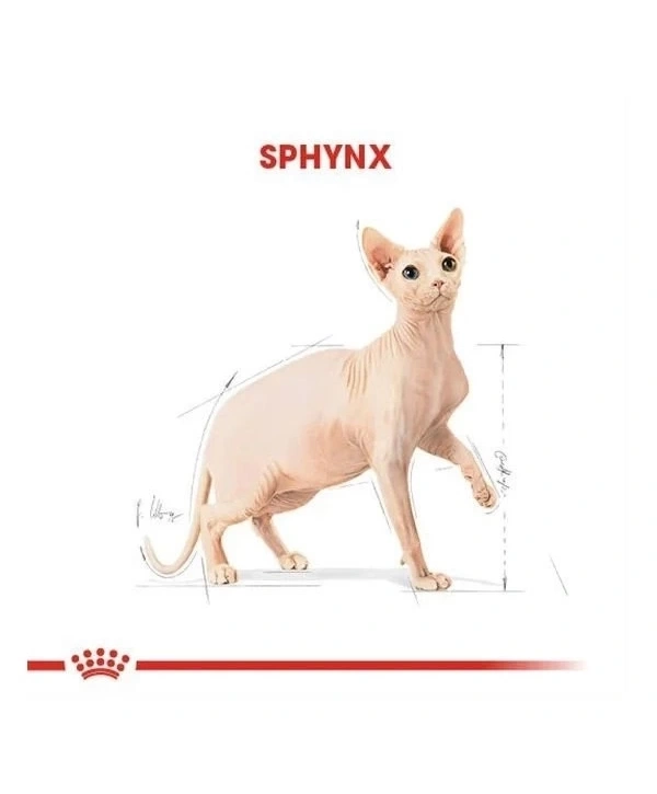 Royal Canin Tüysüz Sphynx Cinsi Yetişkin Kedi Maması 2 Kg