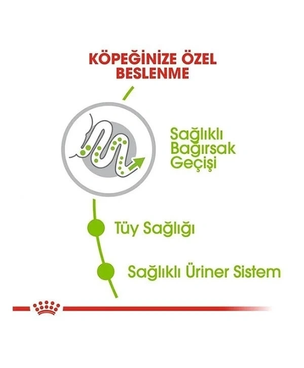 Royal Canin Xsmall Adult Yetişkin Köpek Maması 1.5 Kg