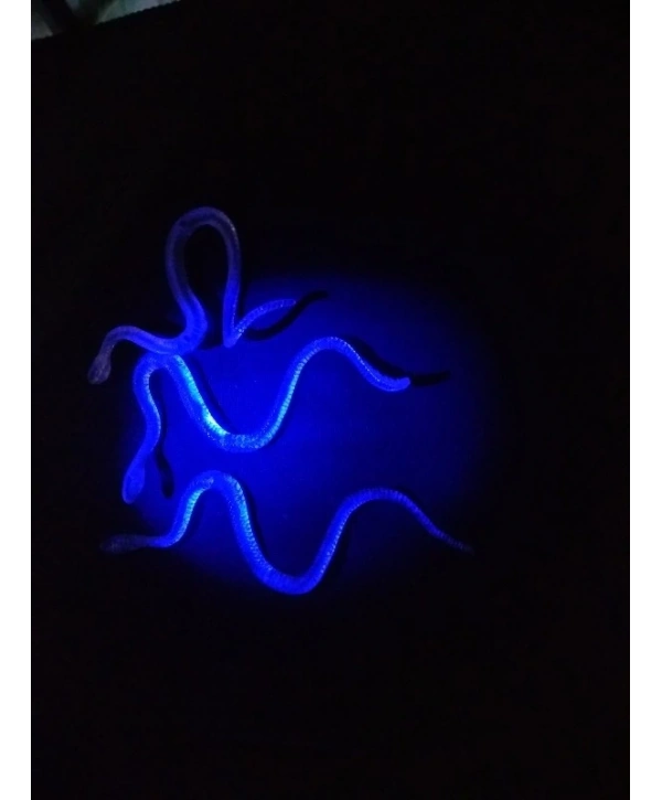 Şaka Yılan ve Kırkayak Karışık 36 Adet (5047)