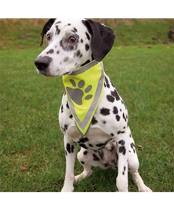 Trixie Köpek Bandanalı Tasma Xlarge 42-60 Cm