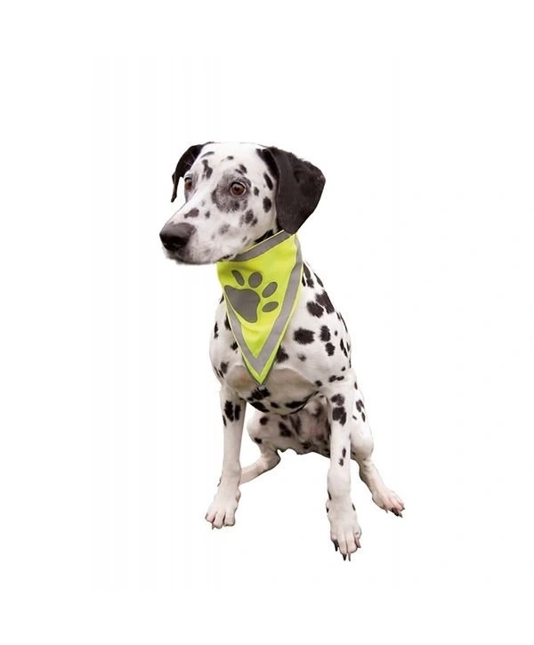 Trixie Köpek Bandanalı Tasma Xlarge 42-60 Cm