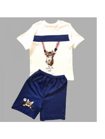 1-2-3 Yaş Fermuarlı Kedi Baskılı Şortlu Kısa Kollu Tişört 2li Erkek Bebek Takımı