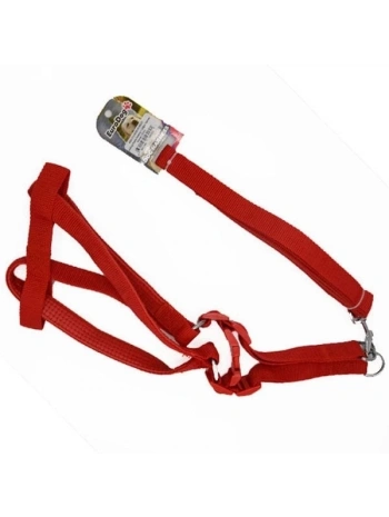 a Tasması ve Göğüs Tasması Takımı Kırmızı 20 Mm 120 Cm