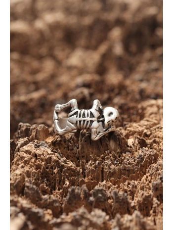 Ayarlanabilir İskelet Yüzük