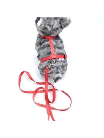 Kedi Düz Göğüs Tasması Ve Gezdirme Seti Ps9641