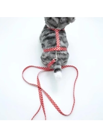 Kedi Kalpli Göğüs Tasması Ve Gezdirme Seti Ps9636