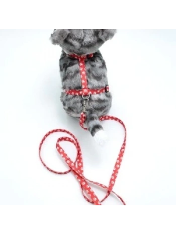 Kedi Patili Göğüs Tasması Ve Gezdirme Seti Ps9647