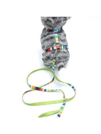 Kedi Renkli Göğüs Tasması Ve Gezdirme Seti Ps9637