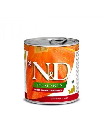 N&D Pumpkin Tavuklu Yavru Konserve Köpek Maması 285 Gr