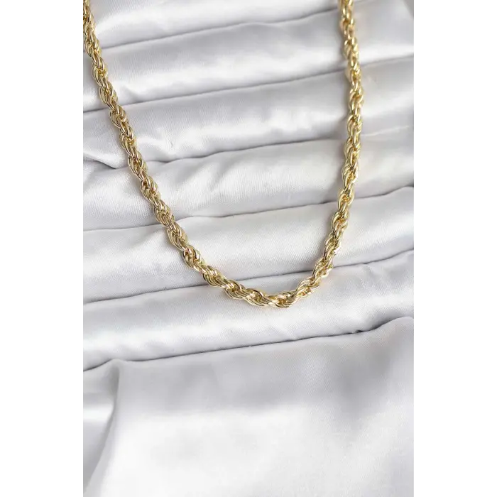 14K Gold Renk Kaplama Burgu Model CM Kadın Kolye