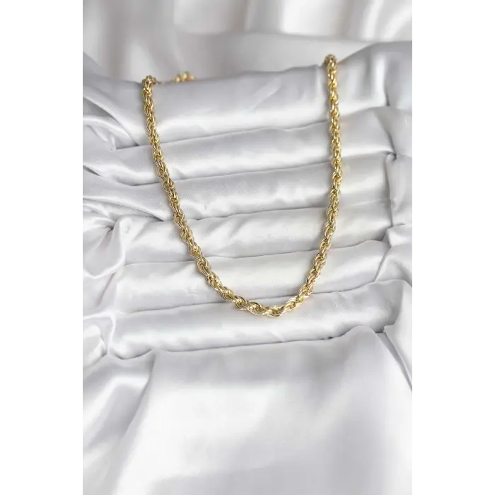 14K Gold Renk Kaplama Burgu Model CM Kadın Kolye
