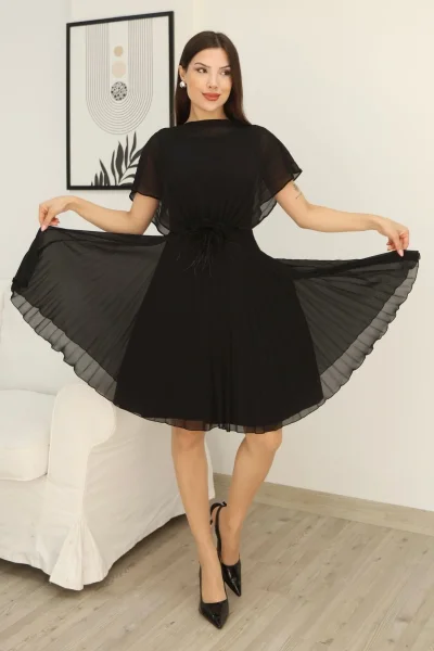 Çiçek Detaylı Piliseli Elbise 2378-Siyah