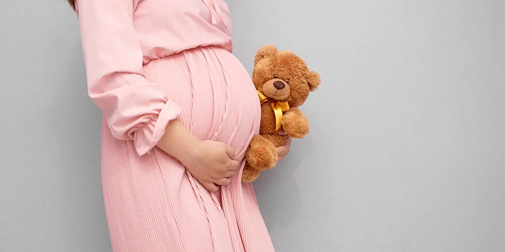 Tesettür Hamile Kıyafetleri Modelleri