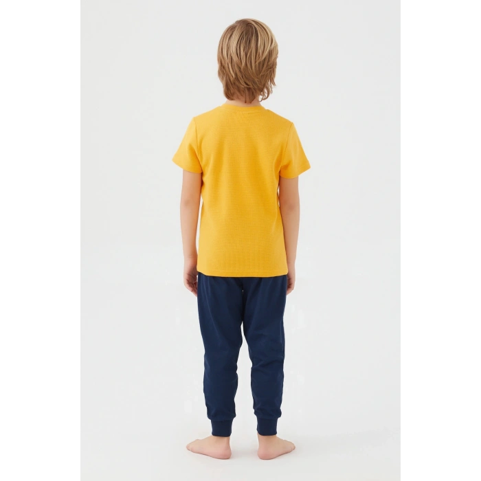 BABA OĞUL İKİLİ TAKIM - HARDAL