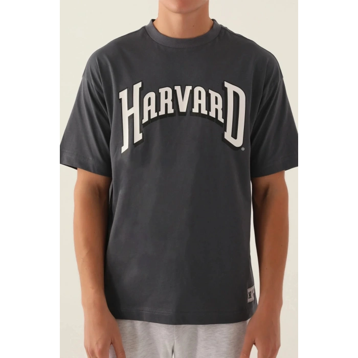 HARVARD ERKEK TEK ÜST - ANTRASİT