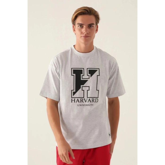 HARVARD ERKEK TEK ÜST - KAR MELANJ