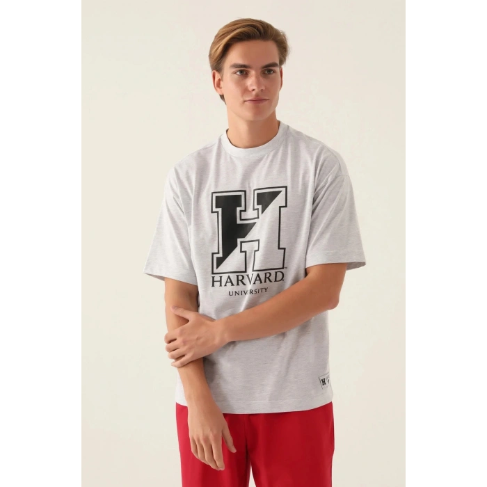 HARVARD ERKEK TEK ÜST - KAR MELANJ