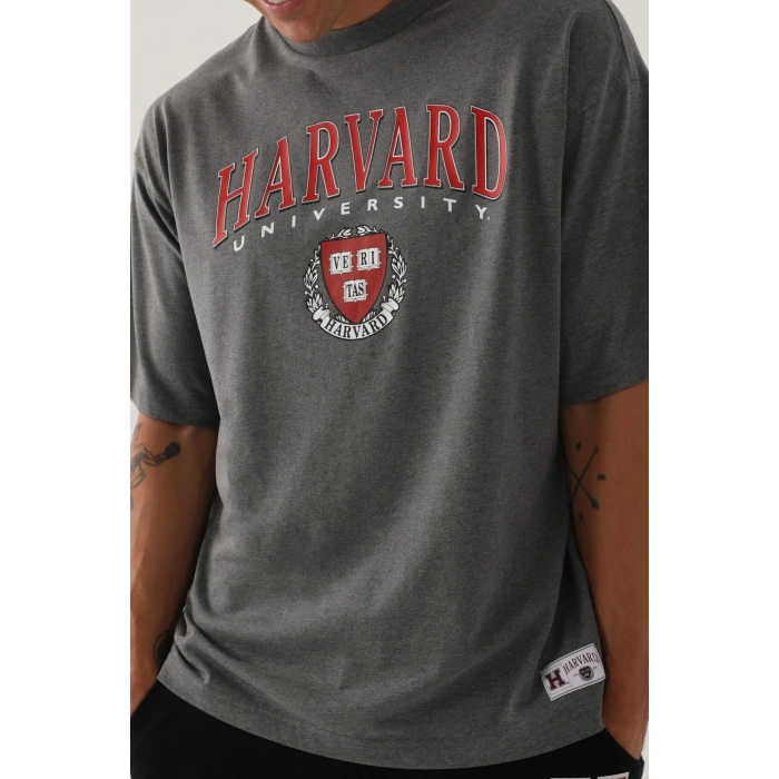 HARVARD ERKEK TEK ÜST - ANTRAMELANJ
