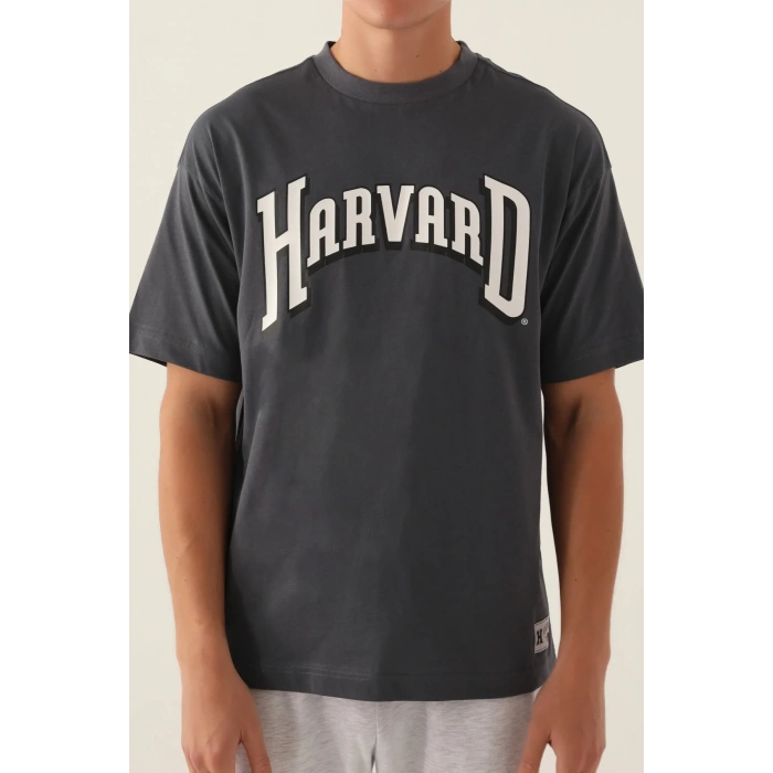 HARVARD ERKEK TEK ÜST - ANTRASİT