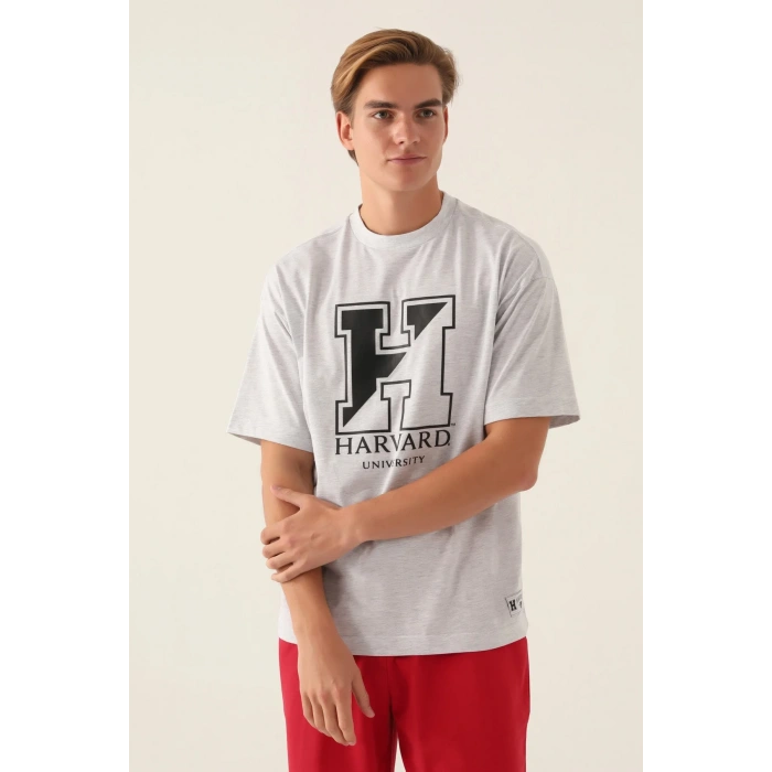 HARVARD ERKEK TEK ÜST - KAR MELANJ