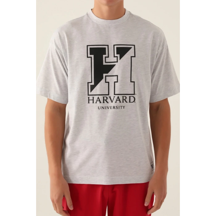 HARVARD ERKEK TEK ÜST - KAR MELANJ