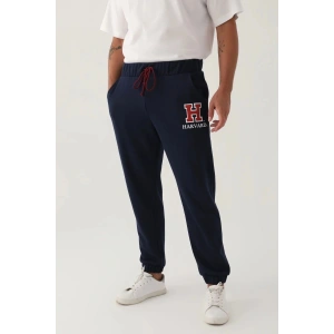 HARVARD ERKEK TEK ALT - LACİVERT