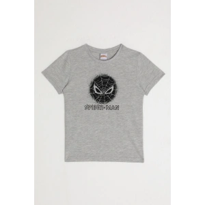 SPIDER-MAN ERKEK ÇOCUK T-SHIRT - GRİ MELANJ
