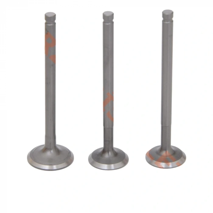 Cup Subap Takımı Lifan 3 Subap