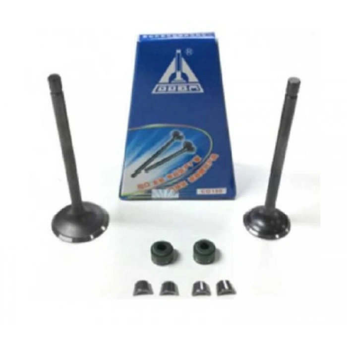 Subap Takımı Ybr 125 DQ